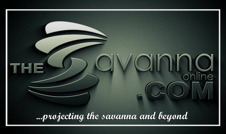 thesavannaonline