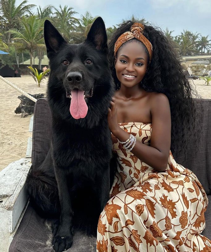 Ebony---Remo-Vom-Lion-Kennel-Future-Inlaw