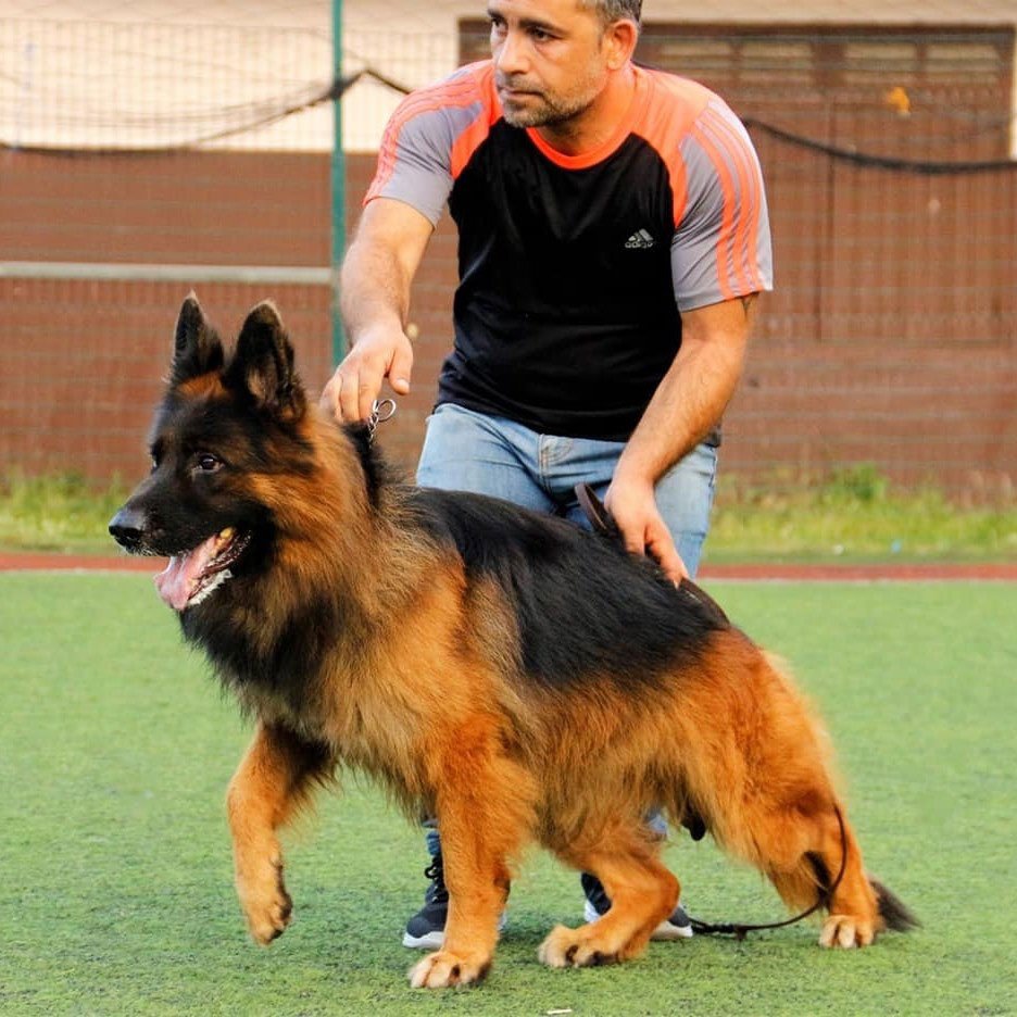 Samir-and-one-of-his-Dogs