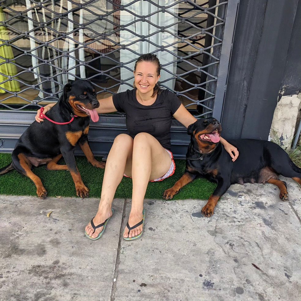 Black-Leash-Rottweilers