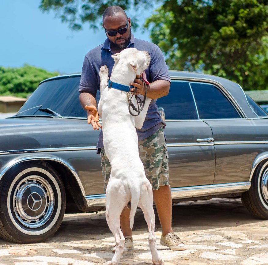 Kobina-Andah-and-His-Dogo-Argentino