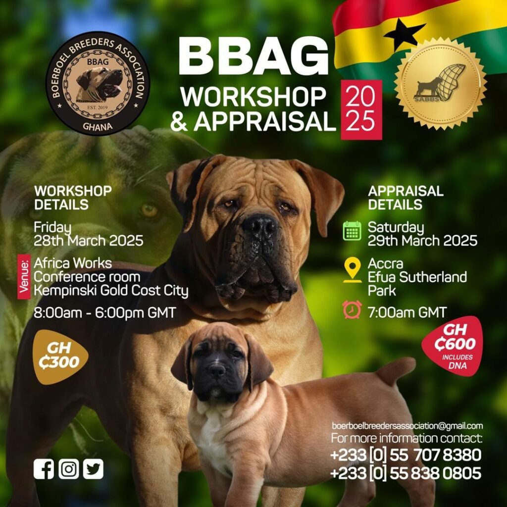 BBAG - Boerboel Breeders Association of Ghana