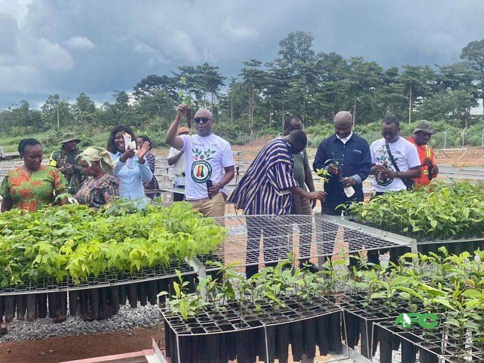 Rainforest Builder Ghana