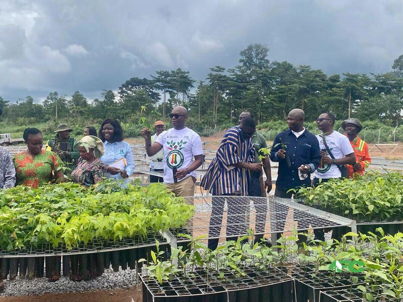 Rainforest Builder Ghana