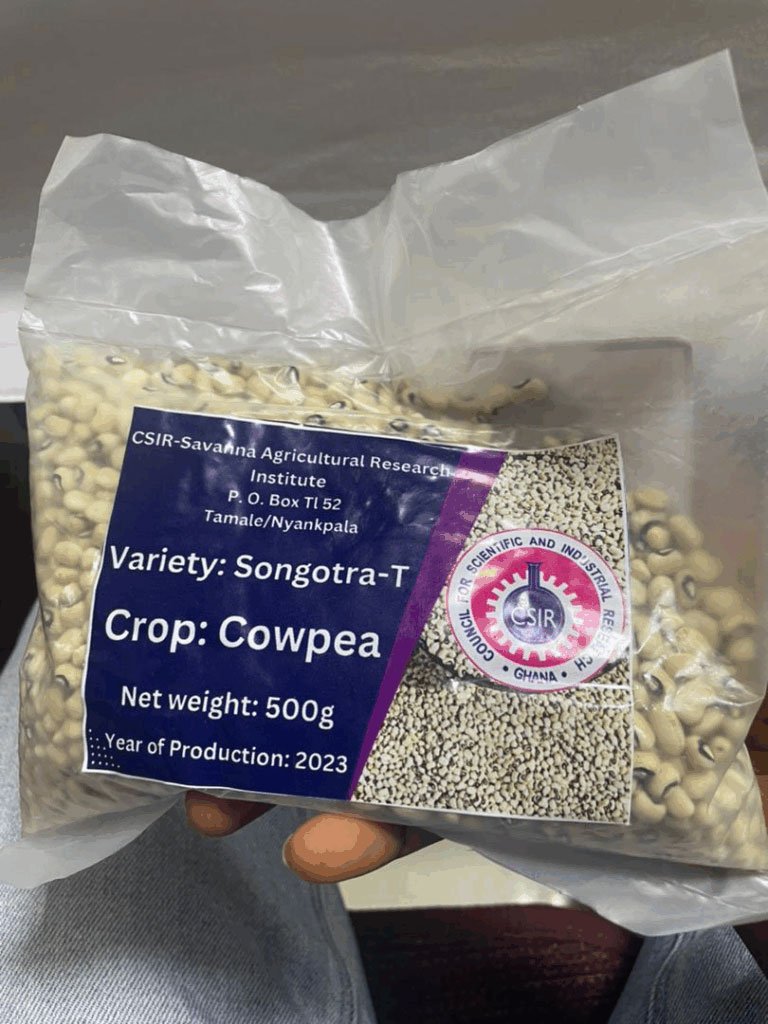 Songotra-T-Cowpea