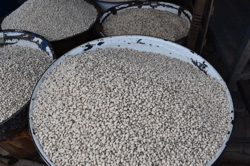 Songotra-T-Cowpea