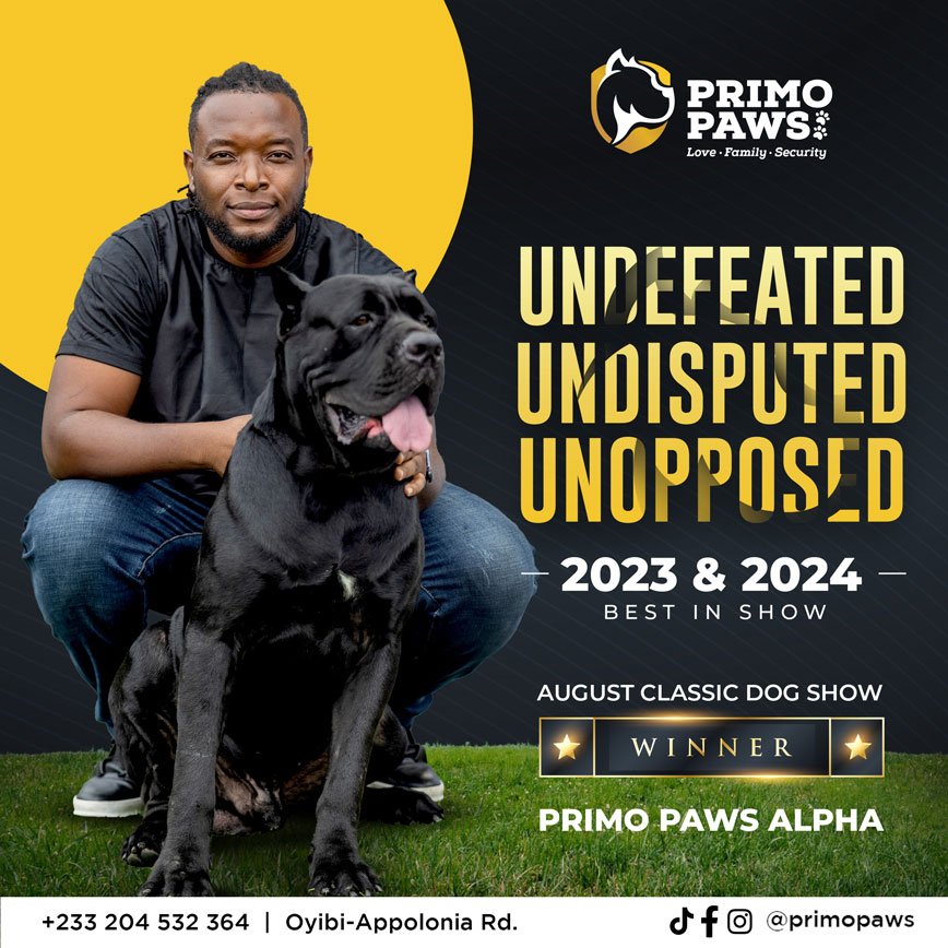 Undefeated Primo Paws Alpha