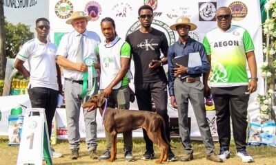 Pioneers of Africa Kennel (POA) h