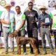 Pioneers of Africa Kennel (POA) h