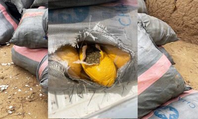 NIB Seizes 3,680 Slabs of Cannabis in Volta Region