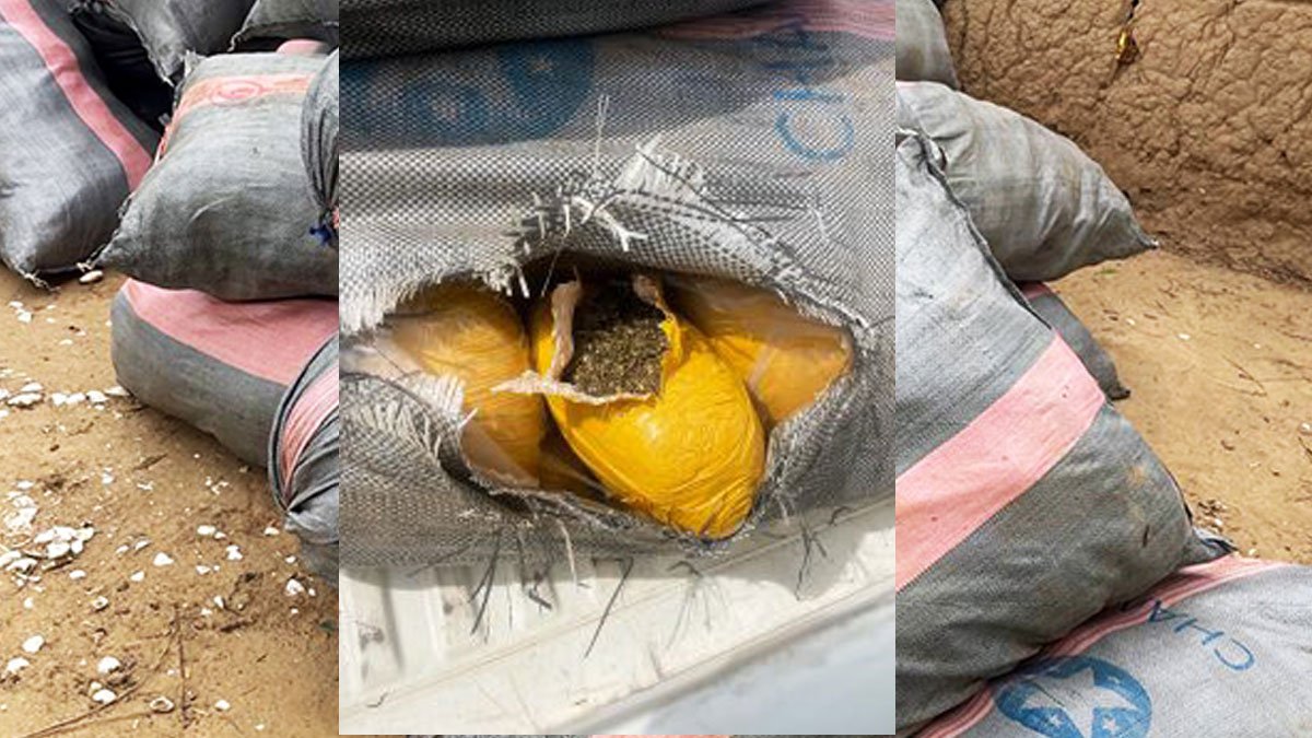 NIB Seizes 3,680 Slabs of Cannabis in Volta Region