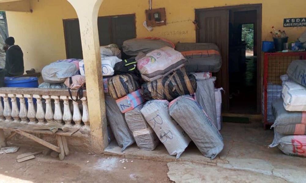 Suspected Indian hemp exhibits
