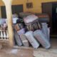 Suspected Indian hemp exhibits