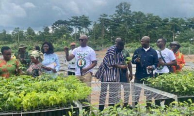 Rainforest Builder Ghana