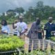 Rainforest Builder Ghana