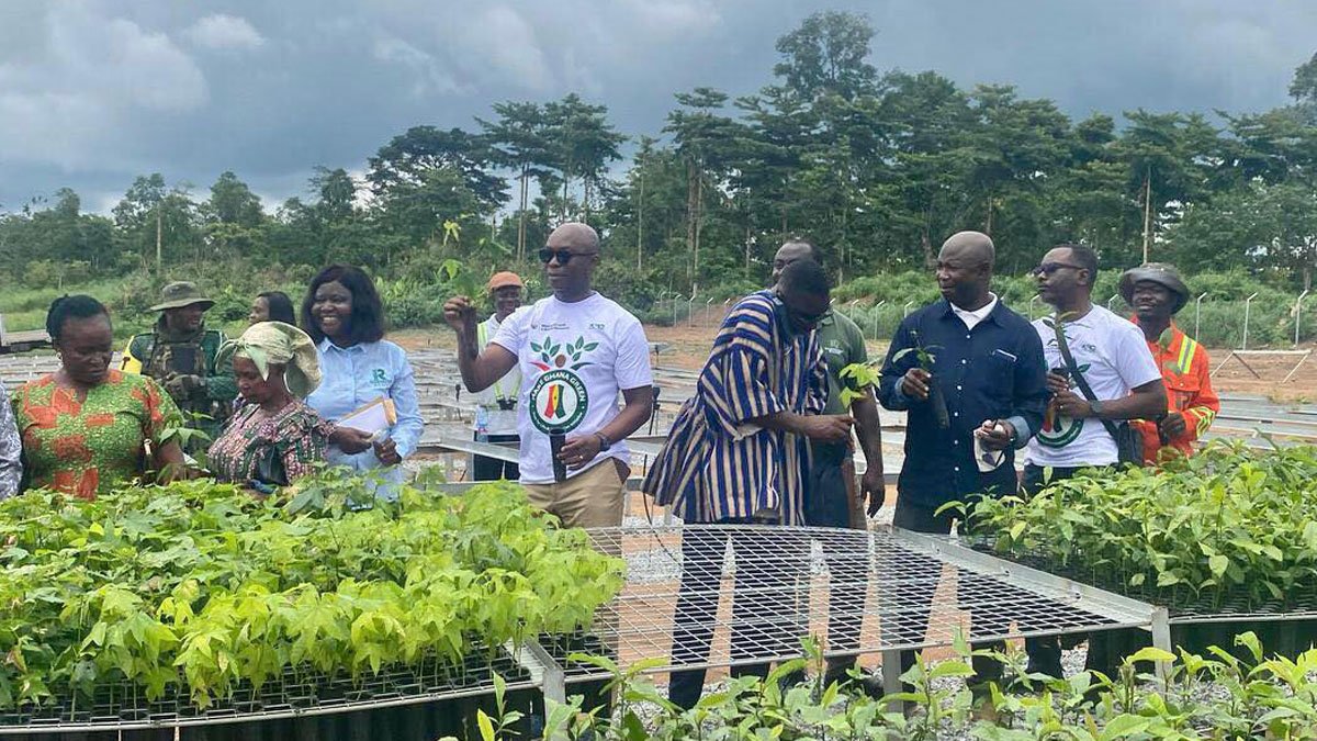Rainforest Builder Ghana