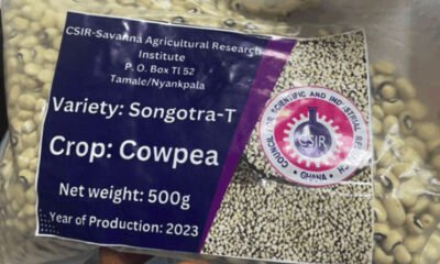 Songotra-T-Cowpea
