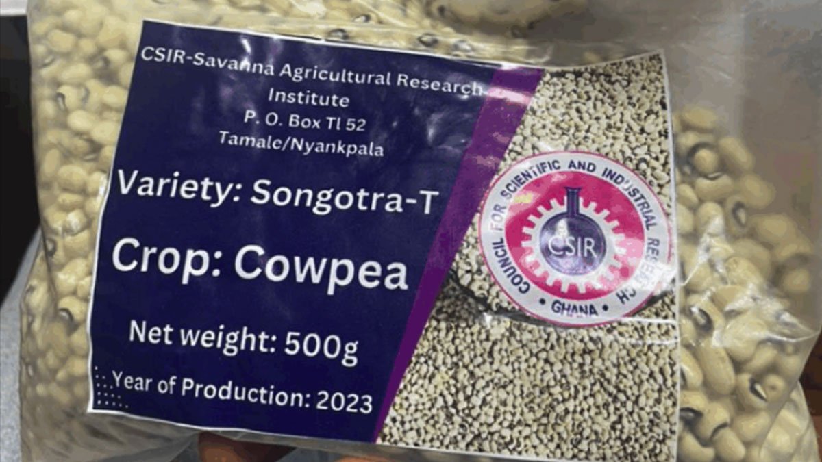 Songotra-T-Cowpea