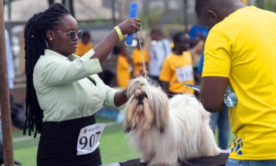 August-Classic-Dog-Show-2025