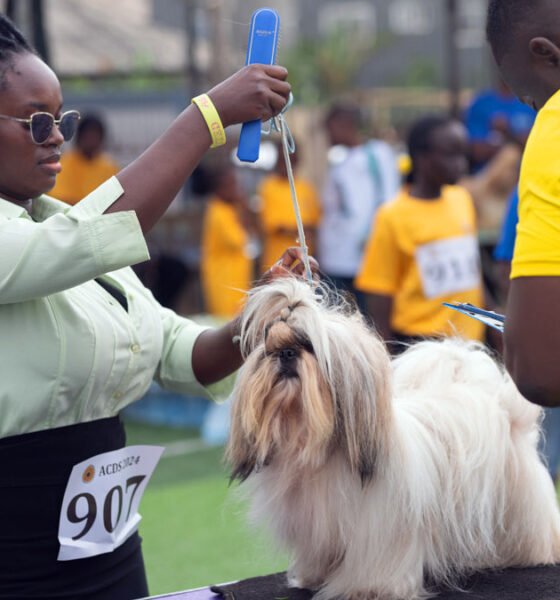 August-Classic-Dog-Show-2025