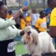 August-Classic-Dog-Show-2025