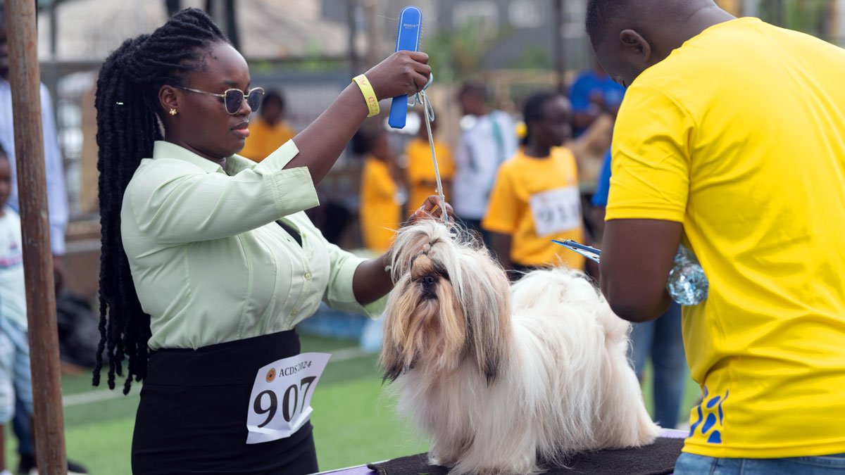 August-Classic-Dog-Show-2025