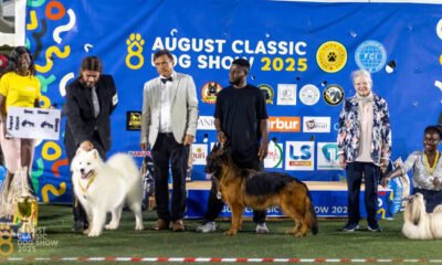 August-Classic-Dog-Show-2026