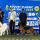 August-Classic-Dog-Show-2026