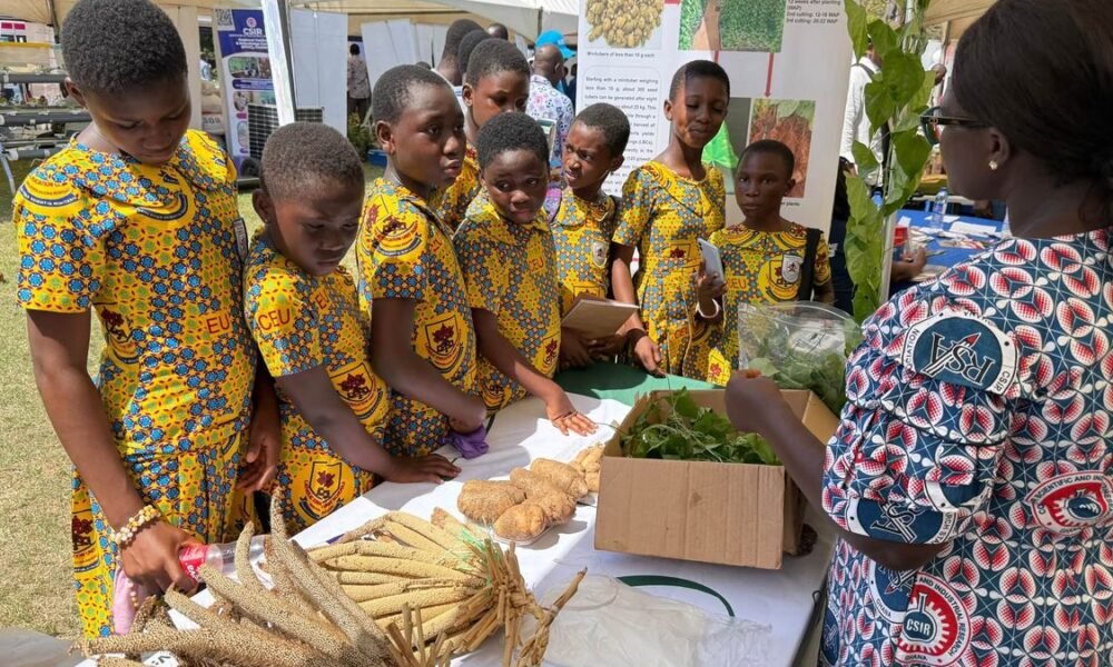 Pupils view crops at a CSIR exhibition stall