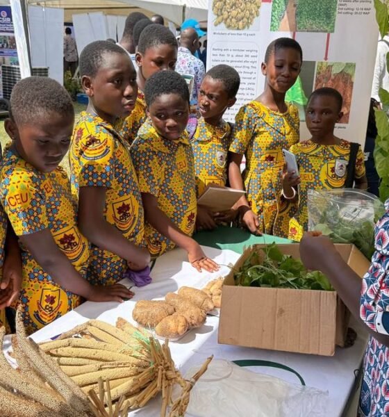 Pupils view crops at a CSIR exhibition stall