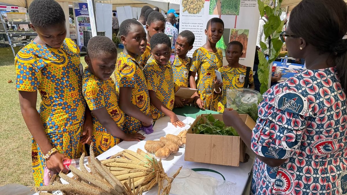 Pupils view crops at a CSIR exhibition stall